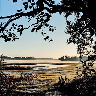 Inkspun Archipelago style, Midjourney V6.1: realistic landscape photograph of quiet dawn