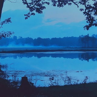 Violet Leafing style, Midjourney V6.1: realistic landscape photograph of quiet dawn