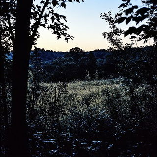 Aquarellurgy style, Midjourney V6.1: realistic landscape photograph of quiet dawn