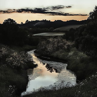 Kiku Linecut style, Midjourney V6.1: realistic landscape photograph of quiet dawn