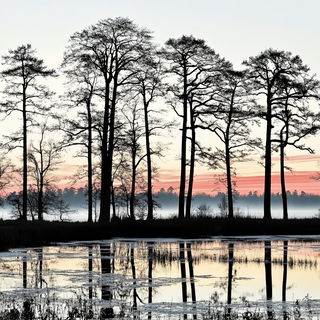 Cryogeometry style, Midjourney V6.1: realistic landscape photograph of quiet dawn