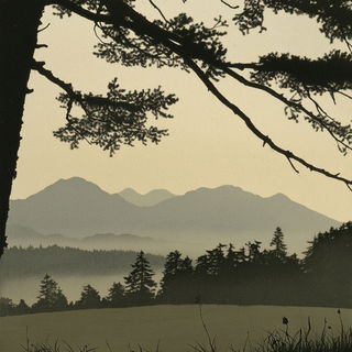 Silkwing Topographies style, Midjourney V6.1: realistic landscape photograph of quiet dawn