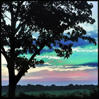 Panacea Toy Myth style, Midjourney V6.1: realistic landscape photograph of quiet dawn