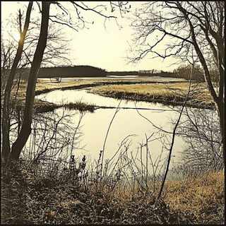 Pilgrimflotilla style, Midjourney V6.1: realistic landscape photograph of quiet dawn
