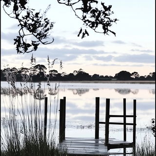Coralwing Posterism style, Midjourney V6.1: realistic landscape photograph of quiet dawn