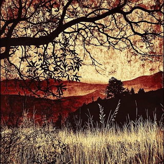 Grimfigure Weave style, Midjourney V6.1: realistic landscape photograph of quiet dawn