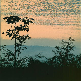 Aurefilm style, Midjourney V6.1: realistic landscape photograph of quiet dawn