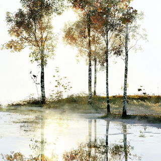 Basidiomata Beyond the Floodplain style, Midjourney V6.1: realistic landscape photograph of quiet dawn