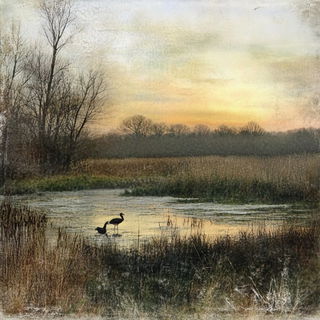 Sepiochemistry style, Midjourney V6.1: realistic landscape photograph of quiet dawn