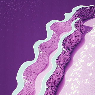 Contourfall style, Midjourney V6.1: abstract 3D render