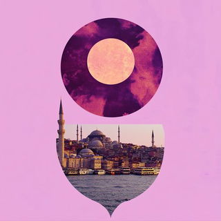 Tropical Chinoiserie style, Midjourney V6.1: bold minimalist logo design for Istanbul city municipal services