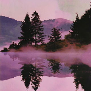 Tropical Chinoiserie style, Midjourney V6.1: realistic landscape photograph of quiet dawn
