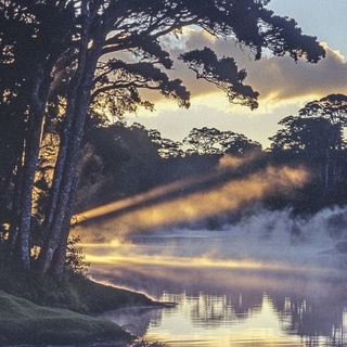 Stipplorama style, Midjourney V6.1: realistic landscape photograph of quiet dawn