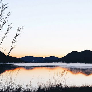 Cyanthicket style, Midjourney V6.1: realistic landscape photograph of quiet dawn