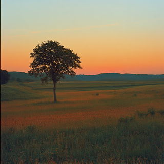 Tidewold Romanticism style, Midjourney V6.1: realistic landscape photograph of quiet dawn