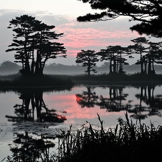 Pressmoon style, Midjourney V6.1: realistic landscape photograph of quiet dawn