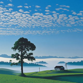 Reliefgarden Isopleth style, Midjourney V6.1: realistic landscape photograph of quiet dawn