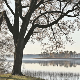 Glacivitra style, Midjourney V6.1: realistic landscape photograph of quiet dawn