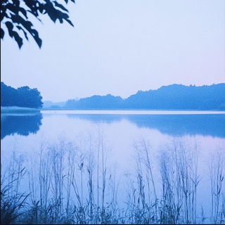 Textilume style, Midjourney V6.1: realistic landscape photograph of quiet dawn