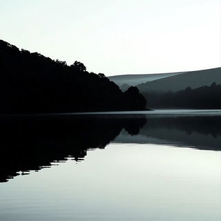 Ruinflorescence style, Midjourney V6.1: realistic landscape photograph of quiet dawn