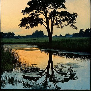 Photodrama style, Midjourney V6.1: realistic landscape photograph of quiet dawn