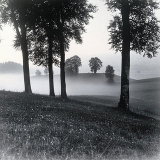 Chlorofiligree style, Midjourney V6.1: realistic landscape photograph of quiet dawn