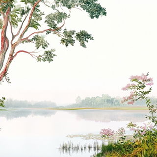Castleviolet style, Midjourney V6.1: realistic landscape photograph of quiet dawn