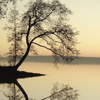 Umbrawick style, Midjourney V6.1: realistic landscape photograph of quiet dawn