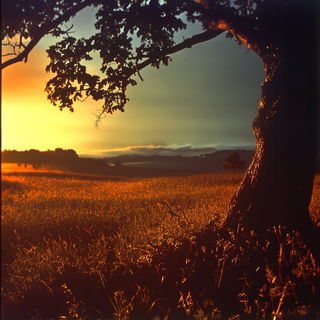 Splashscript style, Midjourney V6.1: realistic landscape photograph of quiet dawn