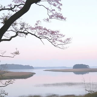 Layerquake style, Midjourney V6.1: realistic landscape photograph of quiet dawn