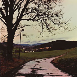 Grainway style, Midjourney V6.1: realistic landscape photograph of quiet dawn