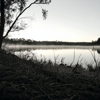 Ammonite Line Choir style, Midjourney V6.1: realistic landscape photograph of quiet dawn