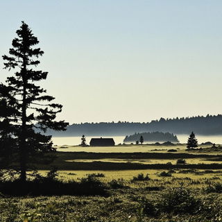 Crowscar Operatic style, Midjourney V6.1: realistic landscape photograph of quiet dawn