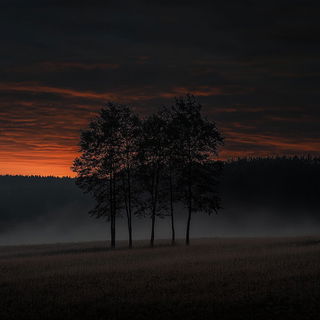 Chromafrontier style, Midjourney V6.1: realistic landscape photograph of quiet dawn