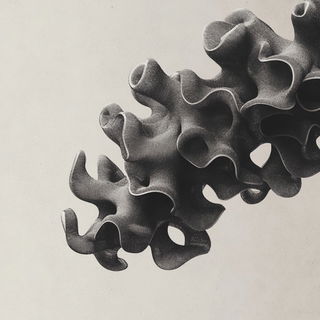 Ornamentanime style, Midjourney V6.1: abstract 3D render