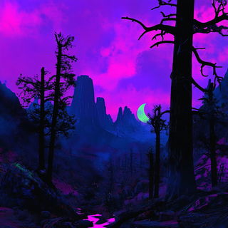 Ruinbraid style, Midjourney V6.1: realistic landscape photograph of quiet dawn