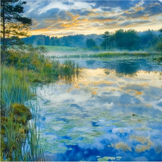 Gogglehorn Mycelia style, Midjourney V6.1: realistic landscape photograph of quiet dawn