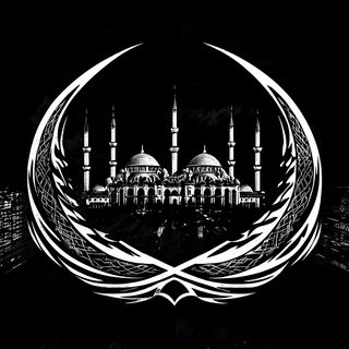 Sunward Solitude style, Midjourney V6.1: bold minimalist logo design for Istanbul city municipal services