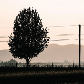 Lavacelestia style, Midjourney V6.1: realistic landscape photograph of quiet dawn