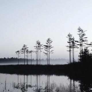 Botanical Collage Nouveau style, Midjourney V6.1: realistic landscape photograph of quiet dawn