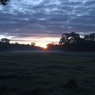 Cranial Panorama style, Midjourney V6.1: realistic landscape photograph of quiet dawn