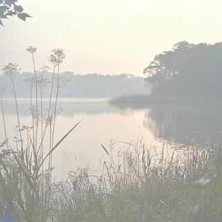 Gogglemaw style, Midjourney V6.1: realistic landscape photograph of quiet dawn