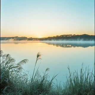 Radial Circuitry style, Midjourney V6.1: realistic landscape photograph of quiet dawn