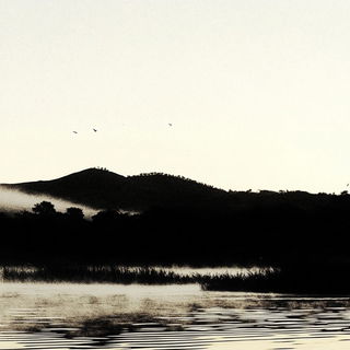 Phyllocontour style, Midjourney V6.1: realistic landscape photograph of quiet dawn