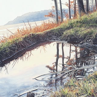 Archipuppetry style, Midjourney V6.1: realistic landscape photograph of quiet dawn
