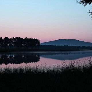 Botanitecture style, Midjourney V6.1: realistic landscape photograph of quiet dawn