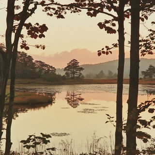 Ruinbloom style, Midjourney V6.1: realistic landscape photograph of quiet dawn