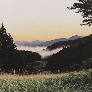 Aeromigradia style, Midjourney V6.1: realistic landscape photograph of quiet dawn