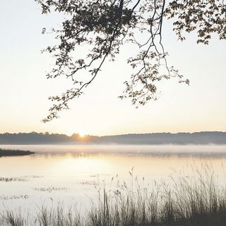Raymane style, Midjourney V6.1: realistic landscape photograph of quiet dawn