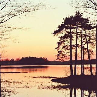 Pressure Marks style, Midjourney V6.1: realistic landscape photograph of quiet dawn